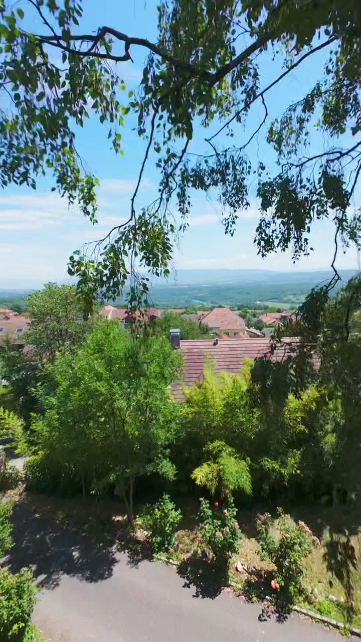Aperçu du film de présentation à Collonges · Pays de Gex